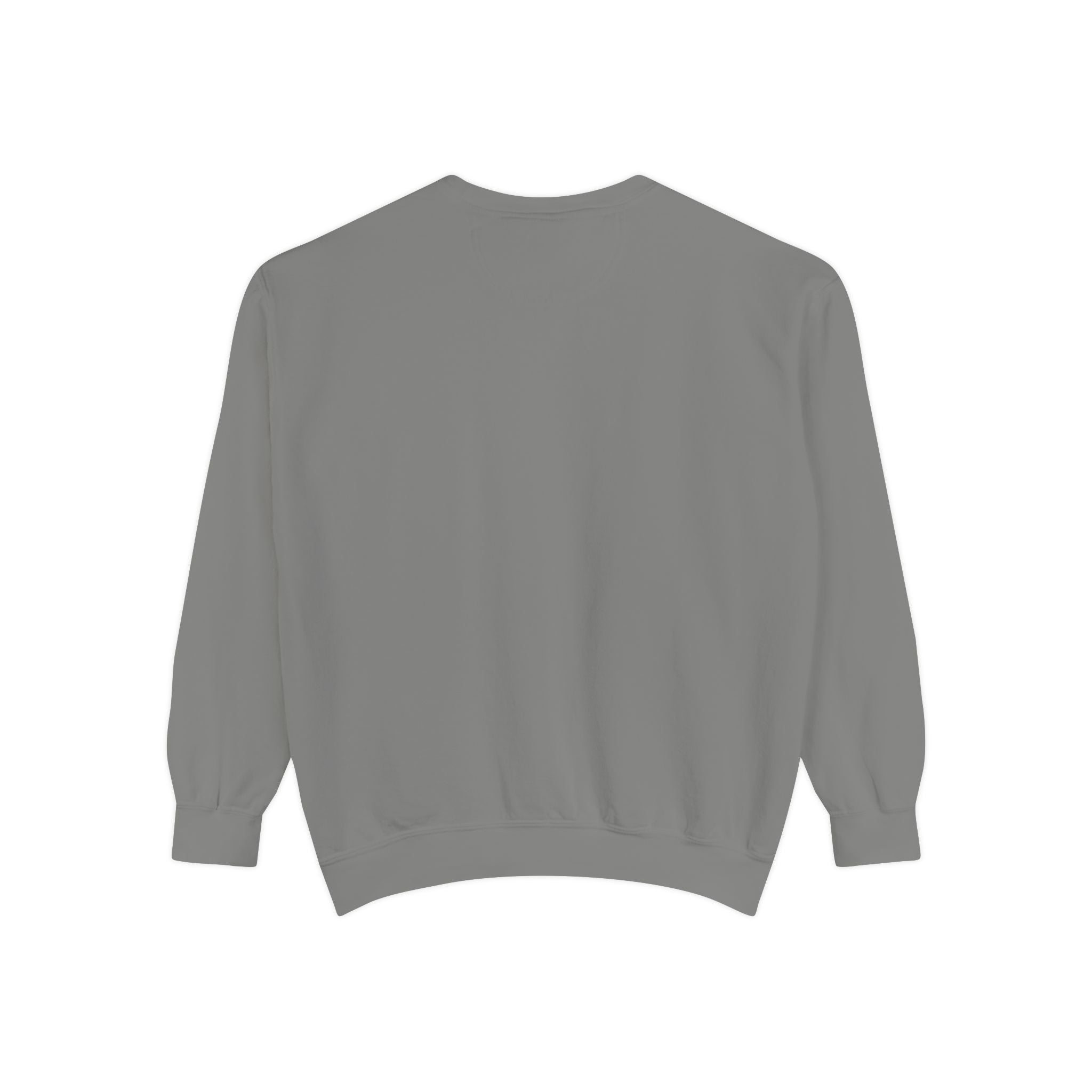 Comfortable Sweatshirt - Cute Comfy Design