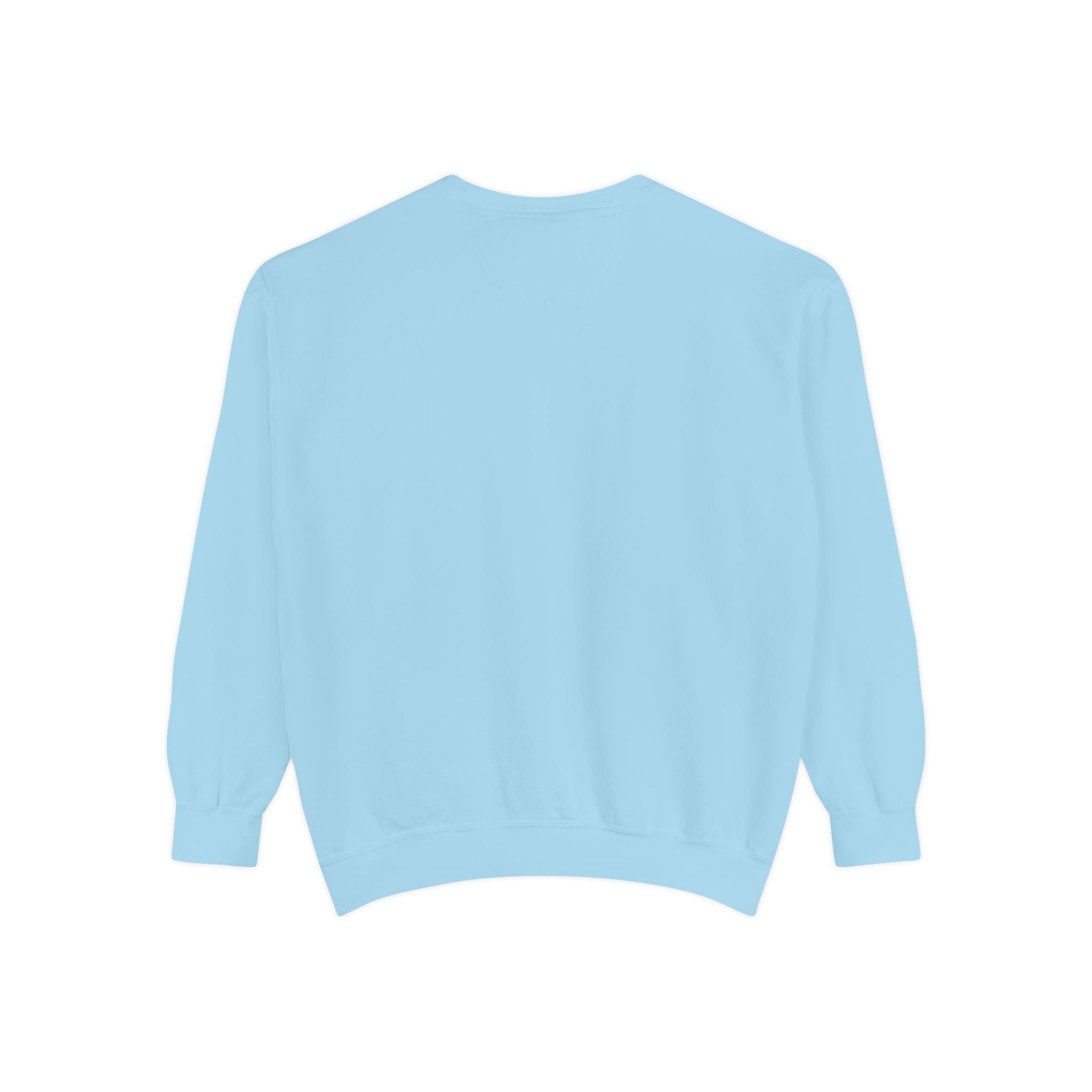 Comfortable Sweatshirt - Cute Comfy Design