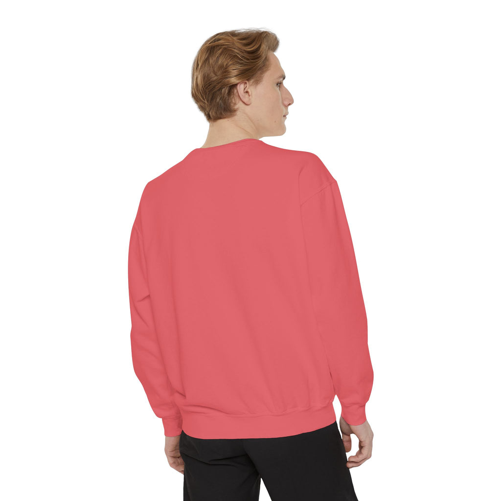 Comfortable Sweatshirt - Cute Comfy Design