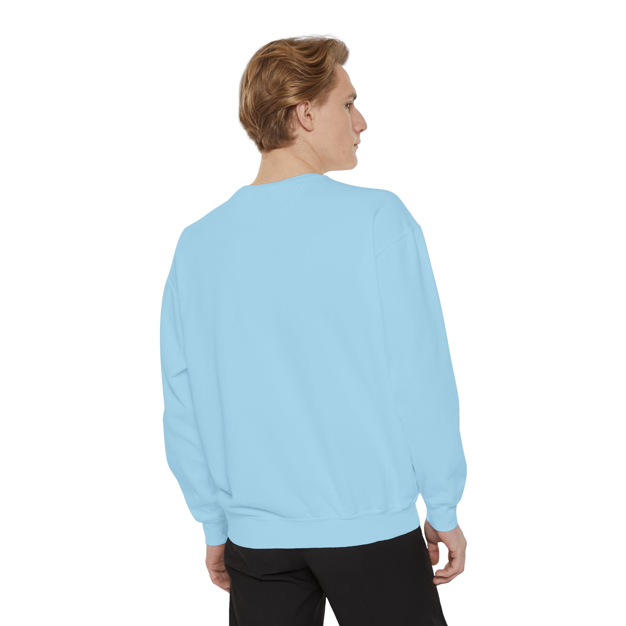 Comfortable Sweatshirt - Cute Comfy Design