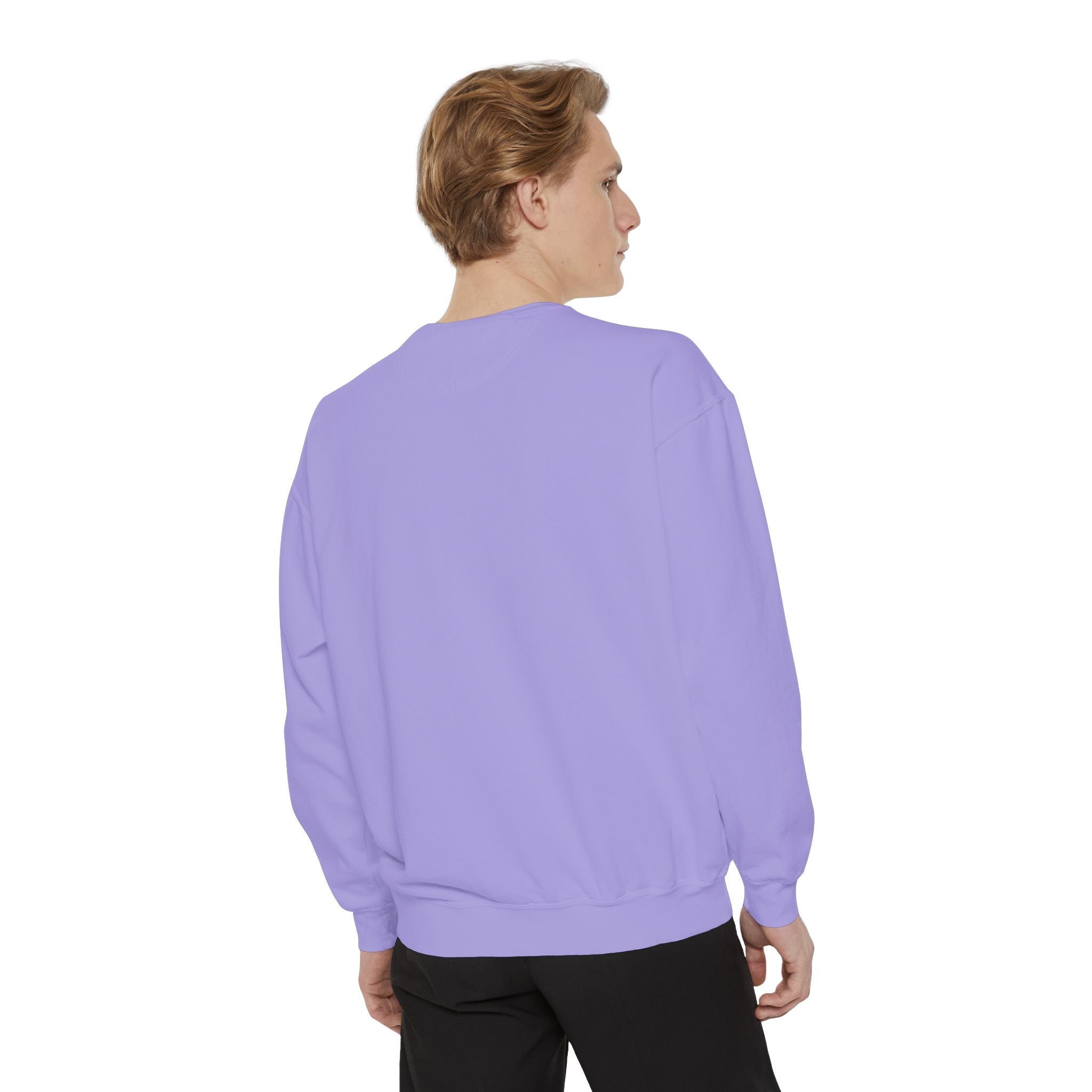 Comfortable Sweatshirt - Cute Comfy Design