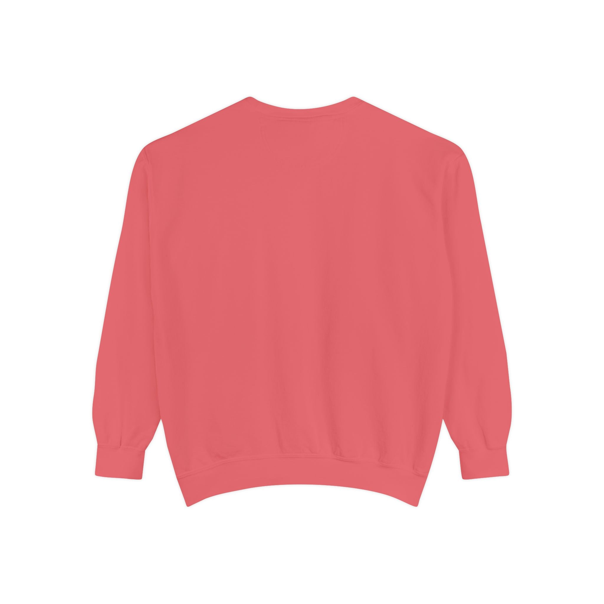 Comfortable Sweatshirt - Cute Comfy Design