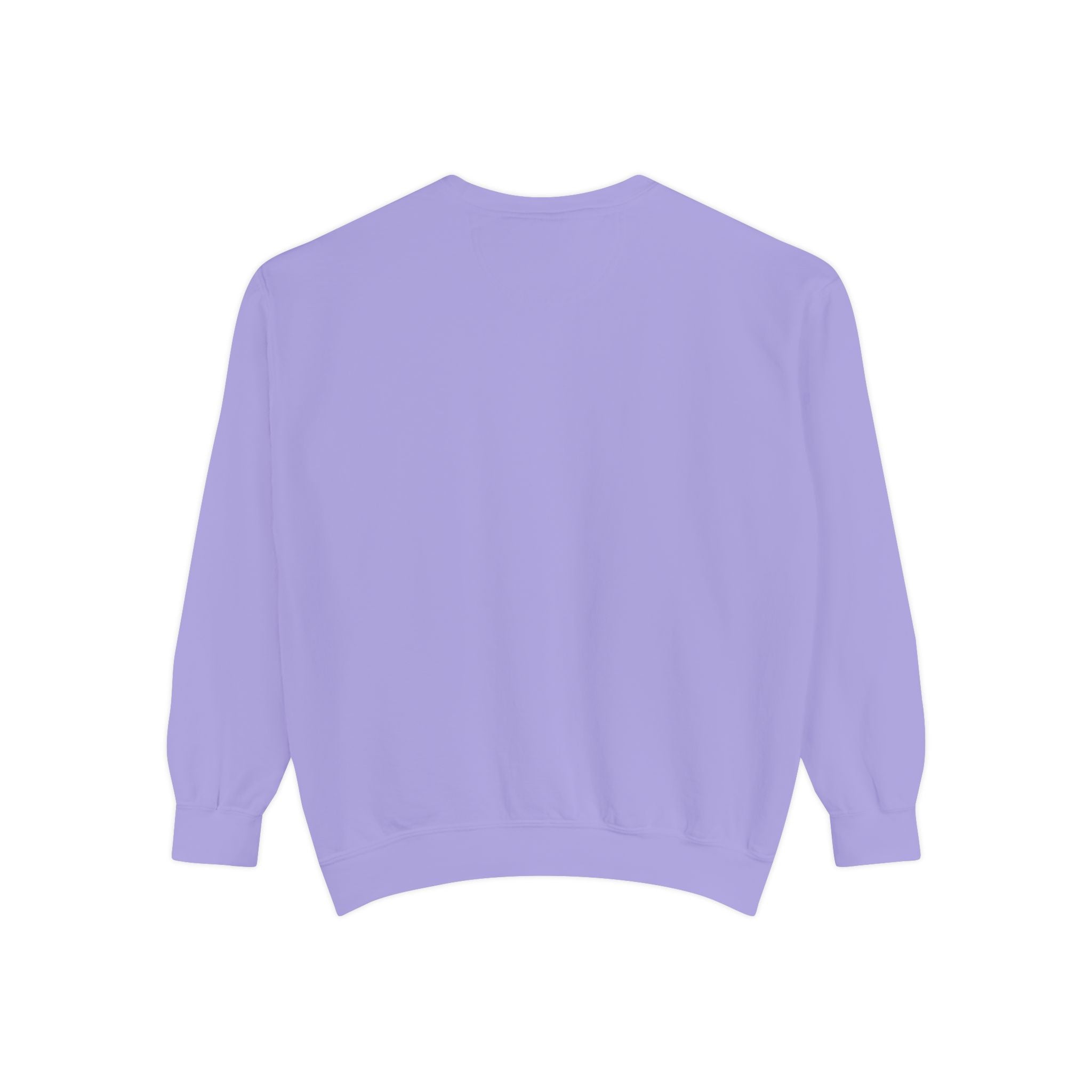 Comfortable Sweatshirt - Cute Comfy Design